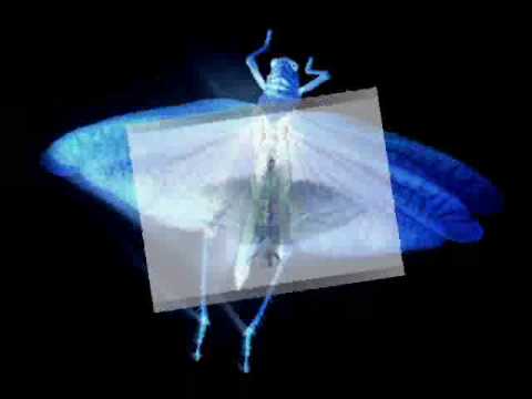 ManuChau vs DanParker - senorMatanza