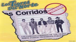 Los tigres de el norte corridos proihbidos