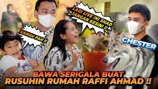 Download lagu CHESTER SI SERIGALA GREBEK RUMAH RAFFI AHMAD DAN RANS ENTERTAINMENT !! SEMUA KOCAR KACIR KETAKUTAN ! mp3