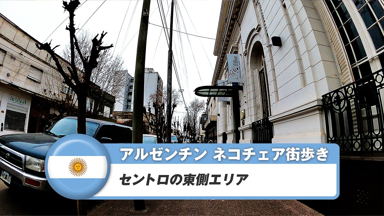 【アルゼンチン】ネコチェア②セントロの東側エリア