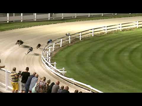 2021.08.13. 02. futam - Augusztusi Díj