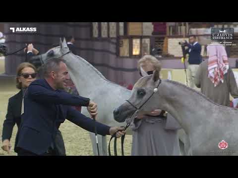 Katara Int  AH Peninsula Show 2023   Classe YFC