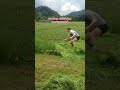 ranking satifsfying movements*
