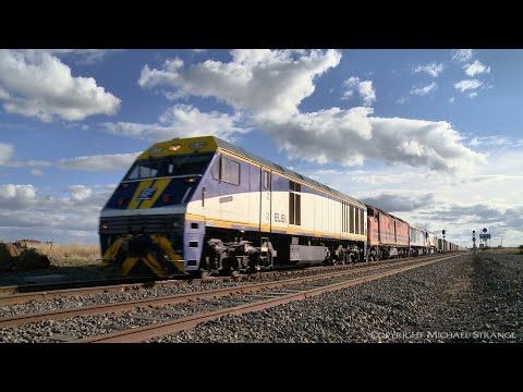 SBR / SCT 7922V Dooen Container Train With EL61, CLF2, EL55 & CSR010  (9/5/2021) - PoathTV Railways