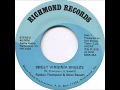 Robbin Thompson and Steve Bassett - "Sweet Virginia Breeze" (1978)