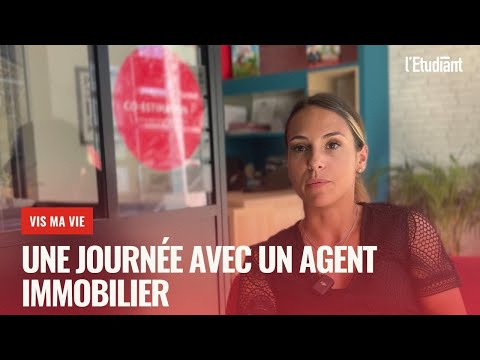 VIS MA VIE d'agent immobilier