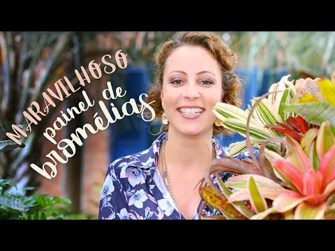 WONDERFUL: step-by-step bromeliad panel