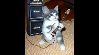 happy birthday by arrogant worms