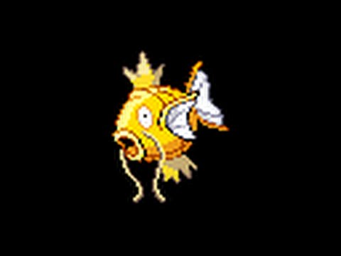 Wonder trading a SHINY Magikarp!