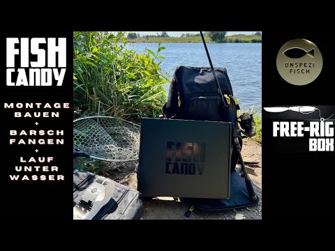 Die FishCandy Free Rig Box am Wasser! So einfach gehts!