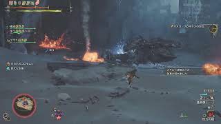 復帰久々ワイルズ　マジオス周回？