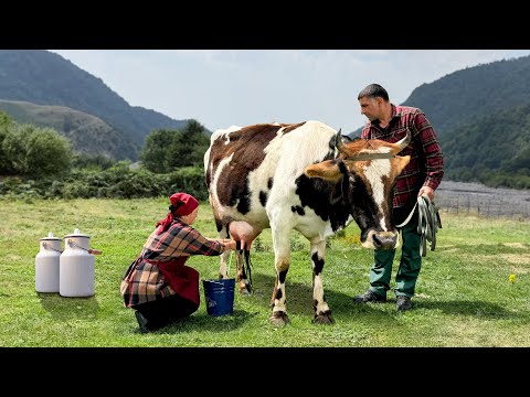 A Dish Made From Homemade Village Milk! Quiet Life In The Mountains