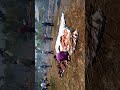 Sherehe Kubwa Kuliko