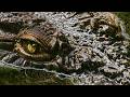 The Monster Of Lake Tanganyika