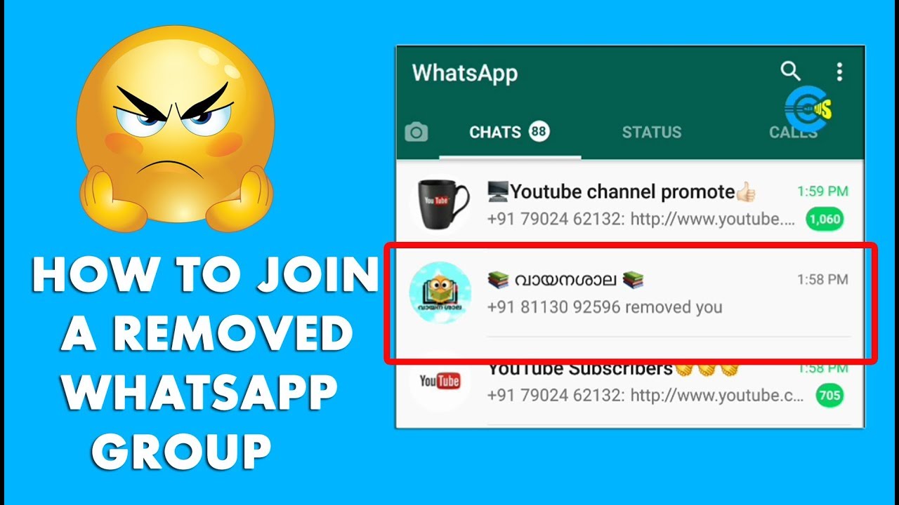 When you are removed from a WhatsApp group, can you see the participants?