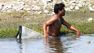Pescador Pescó con red Grandes TILAPIAS(!) de Laguna Pequeña