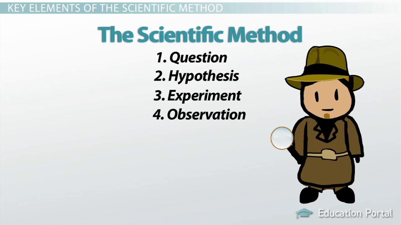 The Scientific Method: Steps, Terms and Examples