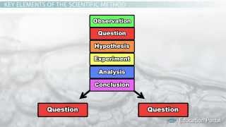 The Scientific Method: Steps, Terms and Examples