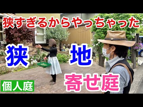庭のカレンダー: いつ庭で何をしますか?