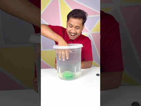 BOLEH KE KELUARKAN SQUISHY GUNA TANGAN?