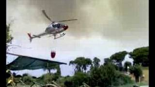 preview picture of video 'Elicottero spegne incendio Castel Fusano 26/07/2008'