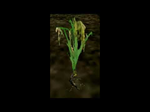 [1H]MY LUBIMY PALIĆ - GOTHIC RAP[1H]