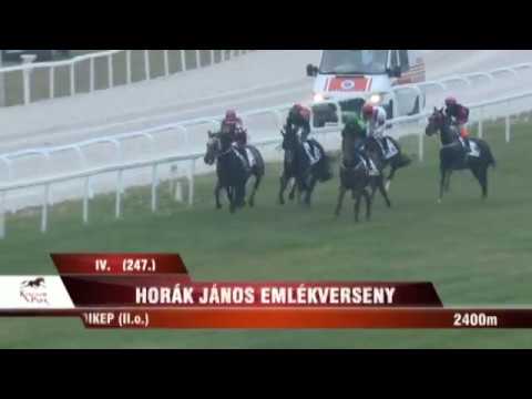 Lósport: Az elmúlt hétvége legjobb galopp-és ügető futamai a Kincsem Parkból