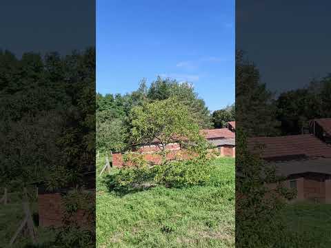 Eladó Építési telek, Kustánszeg 5208 m² 22.9 M Ft