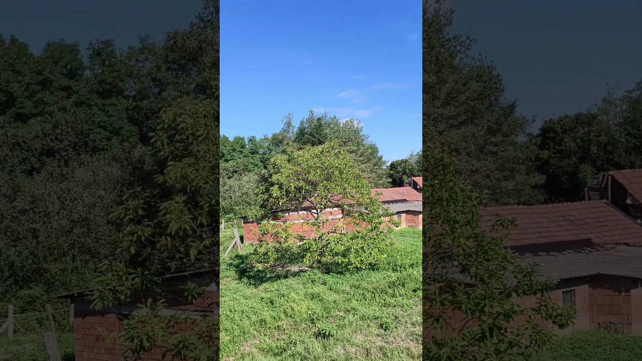 Eladó Építési telek, Kustánszeg 5208 m² 22.9 M Ft
