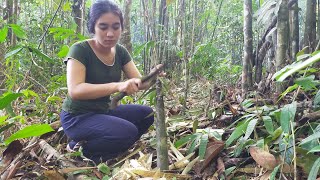 Download lagu Gadis Dayak Hidup di Surga Kecil Hutan Kalimantan mp3