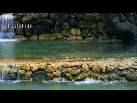 Psalm 146