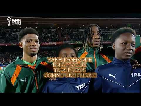 Lesky - Eléphants En Feu