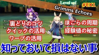 #EX1【実況】知っておいて損はないコツやポイントを紹介【グリムエコーズ/Grimms Echoes】