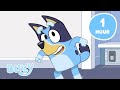 LIVE Hang Out With The Heelers Play With Bluey And Friends Bluey