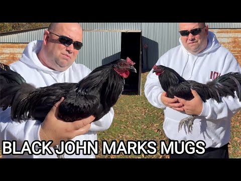 John Marks Mugs Black Asil Beautiful Birds in Palestine Texas