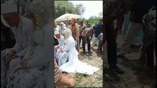 Download lagu berang na lamunan mun peting dina impian#pernikan#pesawahan #shortvideo mp3