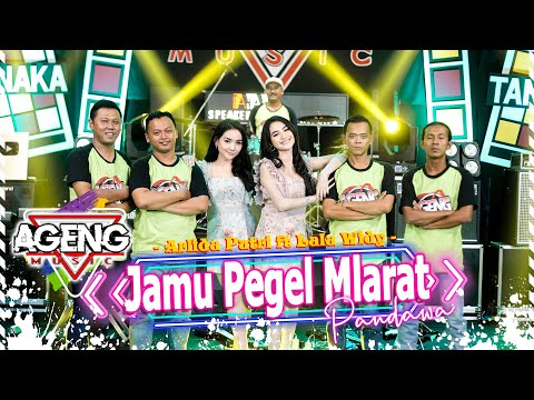 JAMU PEGEL MLARAT - Arlida Putri & Lala Widy ft Pandawa Ageng Music (Official Live Music)