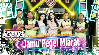 Download lagu JAMU PEGEL MLARAT - Arlida Putri & Lala Widy ft Pandawa Ageng Music ( Live Music) mp3 Download lagu JAMU PEGEL MLARAT - Arlida Putri & Lala Widy ft Pandawa Ageng Music ( Live Music) mp3