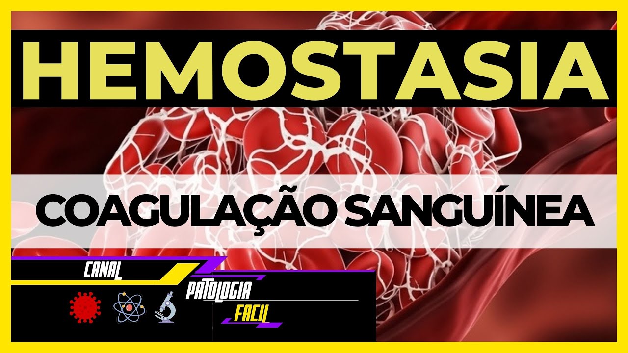 Hemostasia e Coagulação Sanguínea: Atuação das Plaquetas e Cascata de Coagulação [Atualizado 2022]