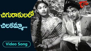 చిగురాకులలో చిలకమ్మా..| | Savitri and ANR Heart Touching Melodious Song | Old Telugu Songs