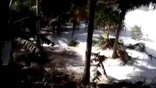 Download lagu Pantai selatan mengamuk. mp3 Download lagu Pantai selatan mengamuk. mp3