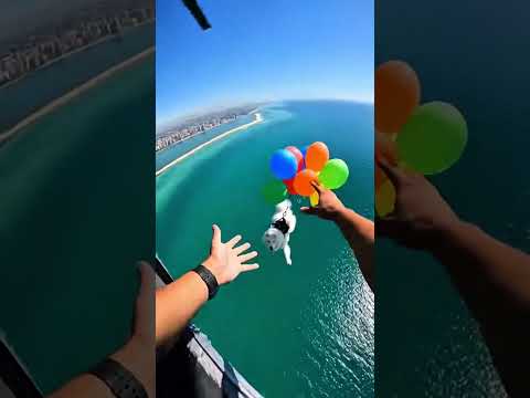 ¿El hombre salvó al perro?