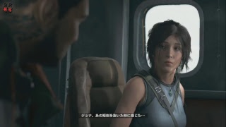 PC版シャドウ オブ ザ トゥームレイダー