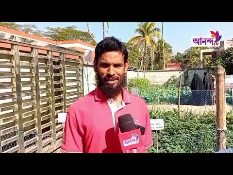 বসতবাড়ির আঙ্গিনায় বছরব্যাপী পারিবারিক পুষ্টি বাগানের মডেল