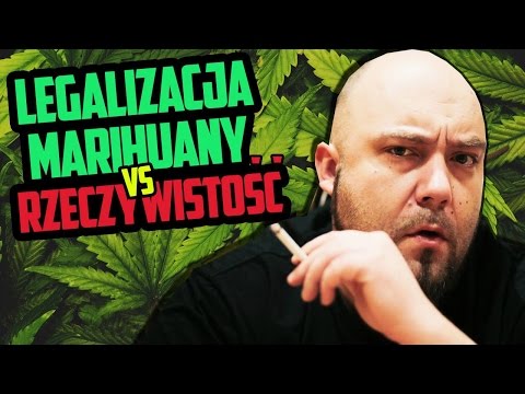Legalizacja VS Rzeczywistość 