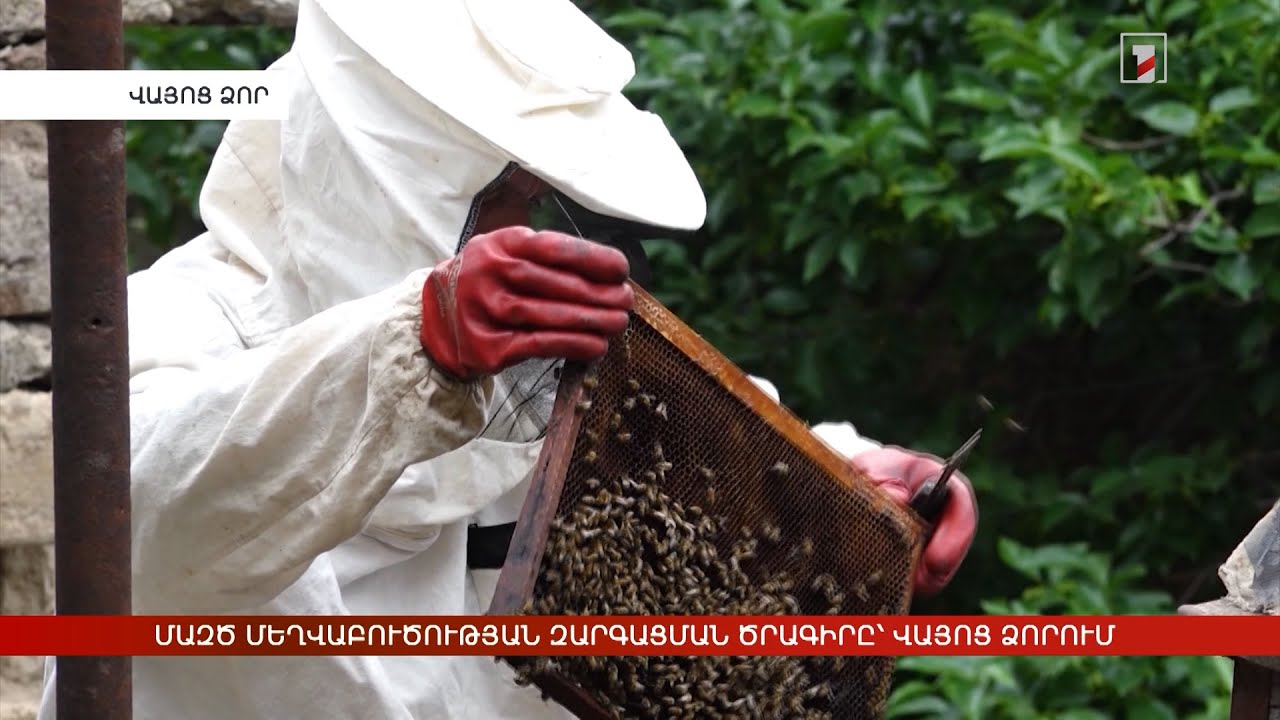 ՄԱԶԾ մեղվաբուծության զարգացման ծրագիրը՝ Վայոց ձորում