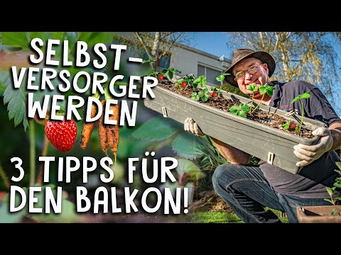 , title : '3 Selbstversorger Tipps für den Balkon! 🌱 Kräuter, Obst & Gemüse anbauen mit wenig Platz'