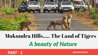 preview picture of video '#Tiger Beautiful Palace, Mukundra Hill's Tiger Reserves Kota || Rajasthan, INDIA '