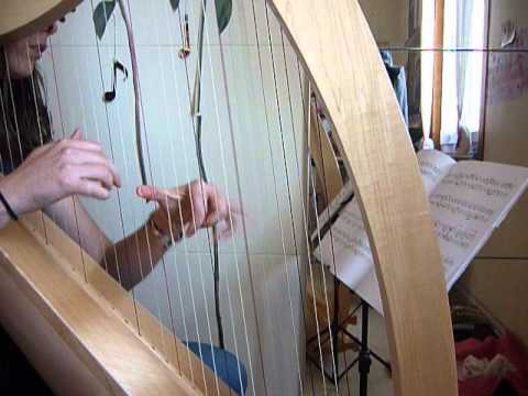 Tristan Le Govic - Le Songe d'Orianne by Morgane Blath (harp tune)
