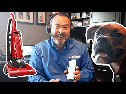 JABRA Evolve 30 II MS stereo Ausinės on-ear su laidu USB 3.5 mm jack Certified skirta Skype skirta Business video